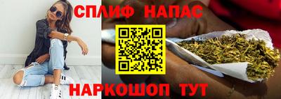 дживик Гатчина