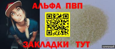 спайс Гай