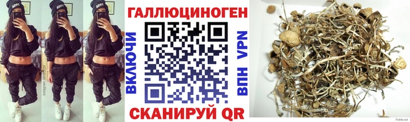 Псилоцибиновые грибы ЛСД  mega как зайти  Менделеевск 