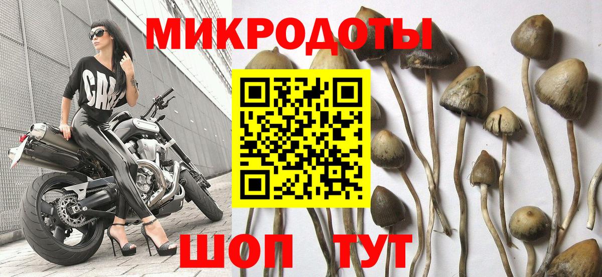 ЭКСТАЗИ  APVP СОЛЬ   NBOMe  Меф МЯУ МЯУ   Гашиш  Менделеевск  Вход с VPN  Канабис 